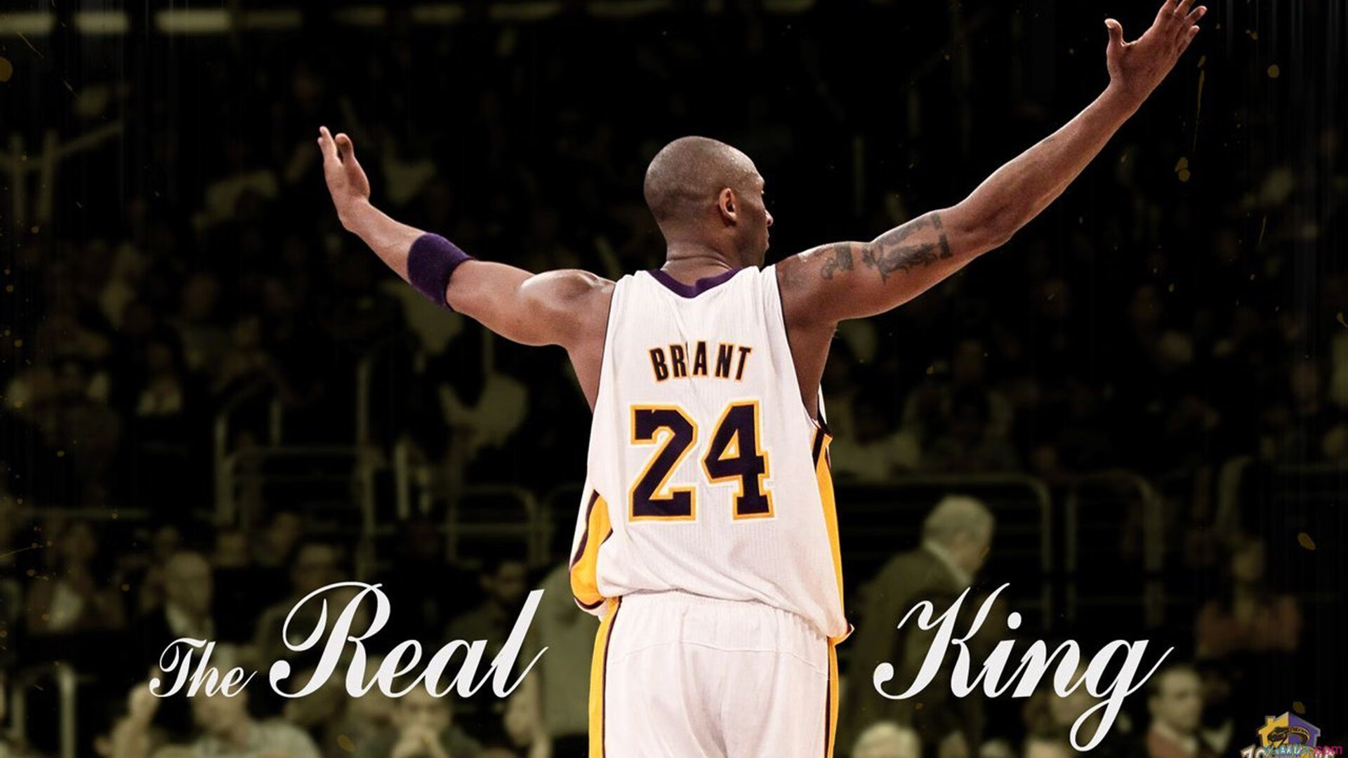 “科技突破:人工智能助力赛场革新”,科技创新人工智能大赛作品